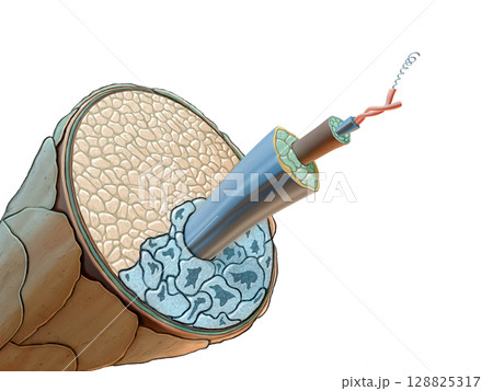 Wool fiber diagram 128825317
