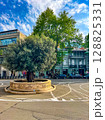 A 2000-year old olive tree from Palestine in Rustaveli Avenue in Tbilisi. High quality photo 128825331
