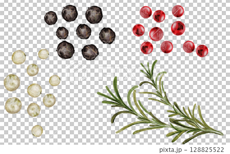Peppercorns watercolor set. Hand drawn dried black, white and pink pepper with rosemary. Clip art on a white background of hot spices. Ideal for cookbooks, menus and organic product packaging 128825522