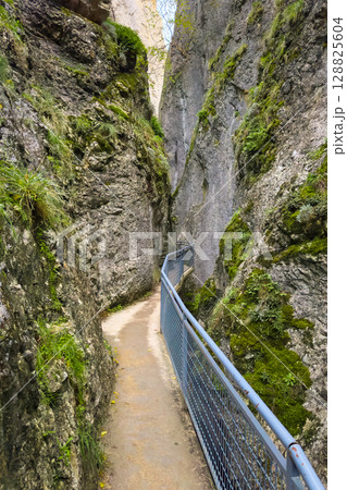 The Yecla Gorge in Santo Domingo de Silos, Burgos province, Spain. The Yecla Gorge in Santo Domingo de Silos, Burgos province, Spain. 128825604