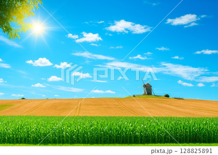 モンサンミシェル近くの農村風景 モンサンミシェル近くの農村風景 128825891