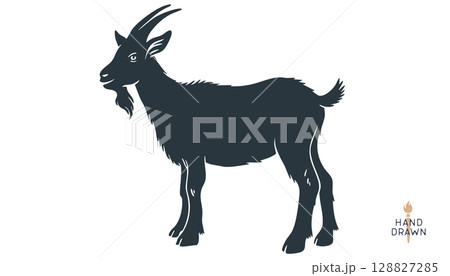 Goat. Vintage retro print, black white goat drawing, sketch ink pencil draw, engrave old school style. Sketch artwork silhouette goat with horns. Side view profile goat. Vector Illustration 128827285