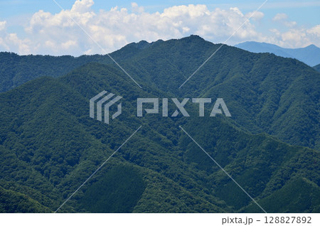 御坂山地の釈迦ヶ岳山頂より鬼ヶ岳、節頭ヶ岳を望む 御坂山地の釈迦ヶ岳山頂より鬼ヶ岳、節頭ヶ岳を望む 128827892