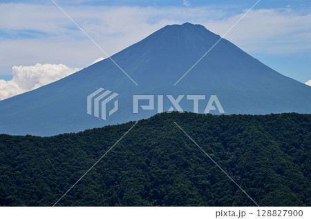 夏の富士山　御坂山地の釈迦ヶ岳山頂より望む 128827900