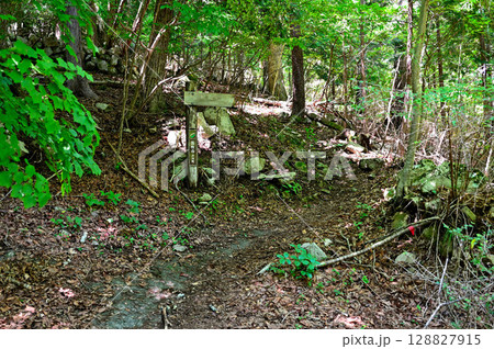 御坂山地の釈迦ヶ岳　笛吹市トレッキングコースの登山道　登山道入口 128827915