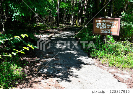 御坂山地の釈迦ヶ岳　笛吹市トレッキングコースの登山道　釈迦ヶ岳登山口 128827916