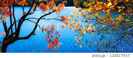 爽やかな秋の北海道オンネトーの紅葉風景 128827937