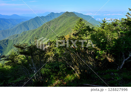 御坂山地の破風山より眺める夏の御坂山地 御坂山地の破風山より眺める夏の御坂山地 128827996