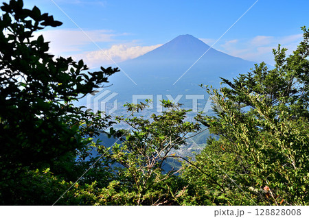 御坂山地の黒岳より望む夏の富士山 128828008