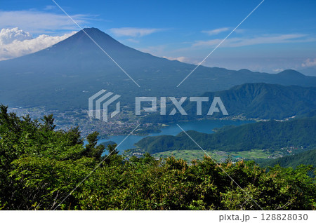 御坂山地の黒岳展望台より　夏の富士山と河口湖と足和田山を望む 128828030