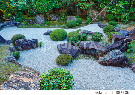 妙心寺退蔵院　元信の庭 128828066