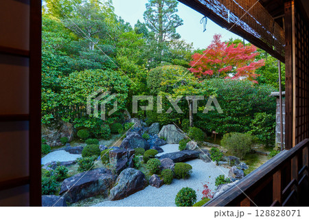 妙心寺退蔵院　元信の庭 128828071