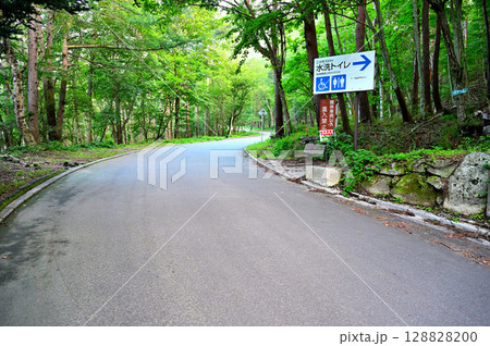 山梨県笛吹市　御坂山地　蕪入沢上芦川林道のすずらん群生地への入口 128828200