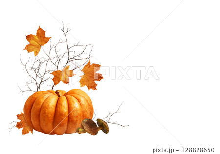 Ripe pumpkin, mushrooms and autumn orange maple leaves in a corner arrangement isolated on white Ripe pumpkin, mushrooms and autumn orange maple leaves in a corner arrangement isolated on white 128828650