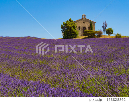 Lavender field and chapel at Entrevennes village, France Lavender field and chapel at Entrevennes village, France 128828862