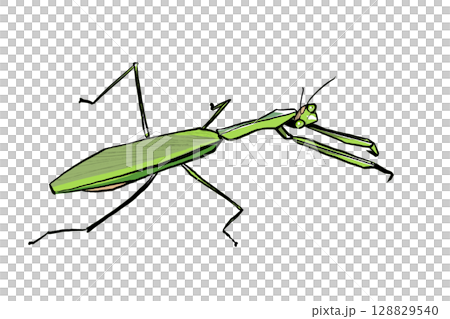 巨型螳螂插圖 巨型螳螂插圖 128829540