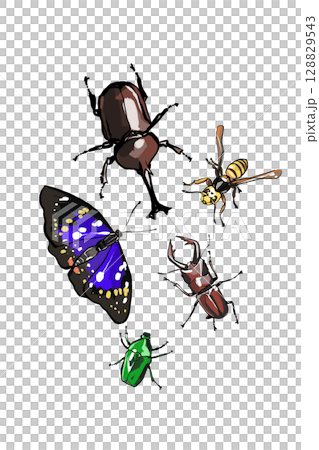 一組聚集在樹液周圍的昆蟲插圖 一組聚集在樹液周圍的昆蟲插圖 128829543