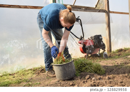 Young man engaged in household chores and small-scale rural farming, tending to his garden with care and dedication. His daily routine reflects a sustainable and self-sufficient way of life 128829938