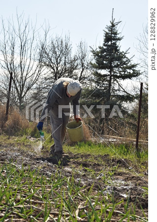 Young man engaged in household chores and small-scale rural farming, tending to his garden with care and dedication. His daily routine reflects a sustainable and self-sufficient way of life Young man engaged in household chores and small-scale rural farming, tending to his garden with care and dedication. His daily routine reflects a sustainable and self-sufficient way of life 128829962