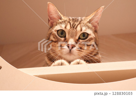 そっと見守る目 128830103