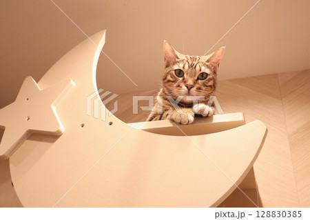 お月さまの上の猫 お月さまの上の猫 128830385