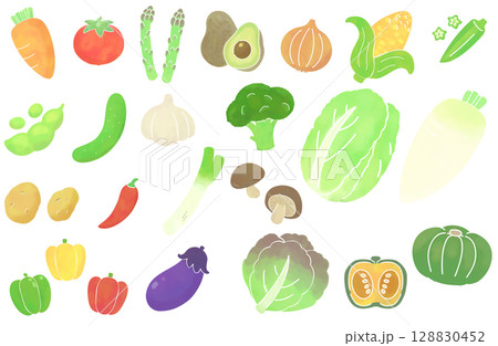 水彩風のシンプルな野菜のイラストセット 水彩風のシンプルな野菜のイラストセット 128830452