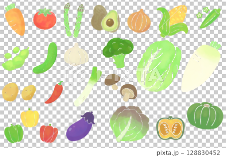 水彩風のシンプルな野菜のイラストセット 水彩風のシンプルな野菜のイラストセット 128830452