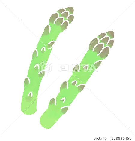 水彩風のシンプルなアスパラガスのイラスト 水彩風のシンプルなアスパラガスのイラスト 128830456