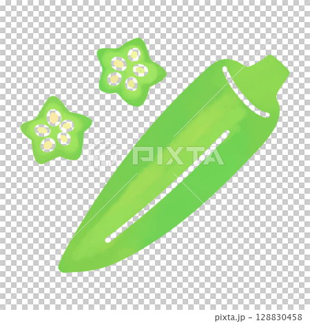 水彩風格的簡單秋葵插圖 128830458