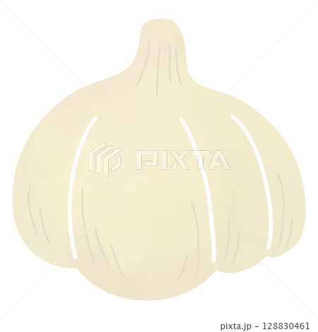 水彩風のシンプルなにんにくのイラスト 水彩風のシンプルなにんにくのイラスト 128830461