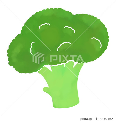 水彩風のシンプルなブロッコリーのイラスト 128830462