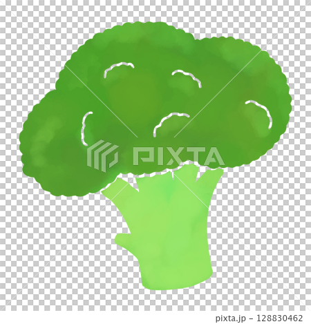 簡單的水彩風格西蘭花插圖 128830462