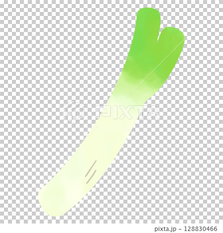 水彩風格的簡單蔥插圖 水彩風格的簡單蔥插圖 128830466