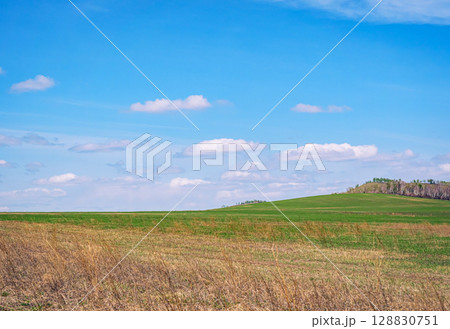 Bright green fields stretch across the landscape, dotted with patches of dry grass. Bright green fields stretch across the landscape, dotted with patches of dry grass. 128830751