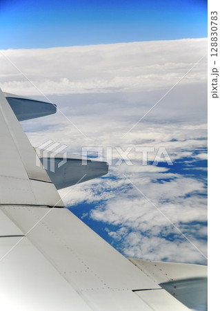 飛行機から見た風景 128830783