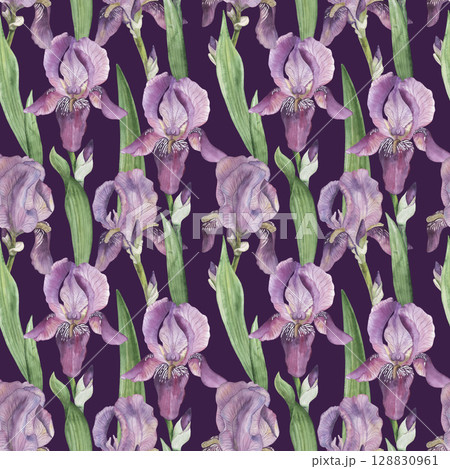 Seamless pattern with lilac irises, green leaves on a dark purple background. The flower illustration is hand-painted in watercolor in a botanical style. For wallpaper design, textiles, fabric, paper 128830961
