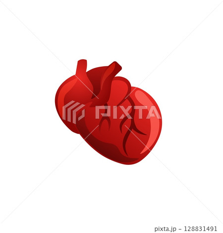 Stylized anatomical heart in red with vivid vein patterns and realistic shading 128831491