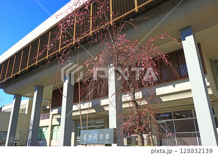 愛知県名古屋市、東別院会館の風景 128832139