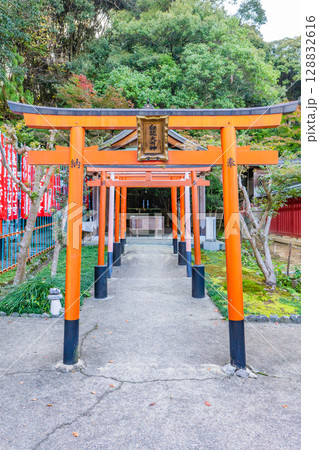 奈良県生駒郡三郷町の龍田大社　白龍神社 128832616