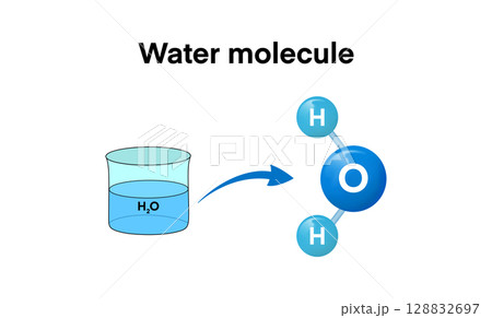 educational diagram shows the molecular structure of water. A beaker of H2O is connected via arrow to a model of a water molecule made up of one oxygen atom bonded to two hydrogen atoms 128832697
