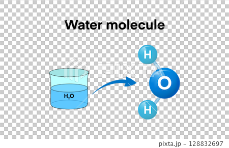 educational diagram shows the molecular structure of water. A beaker of H2O is connected via arrow to a model of a water molecule made up of one oxygen atom bonded to two hydrogen atoms 128832697