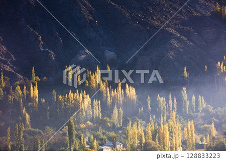 The autumn scenery with Hindu Kush mountain range in the background is very beautiful, Gahkuch,northern Pakistan. The autumn scenery with Hindu Kush mountain range in the background is very beautiful, Gahkuch,northern Pakistan. 128833223
