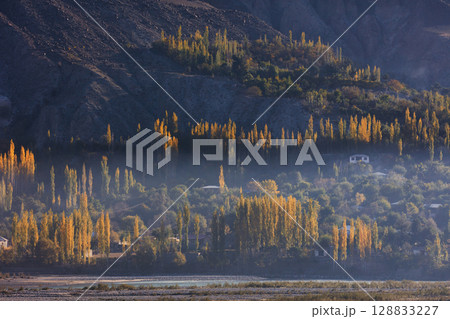 The autumn scenery with Hindu Kush mountain range in the background is very beautiful, Gahkuch,northern Pakistan. 128833227