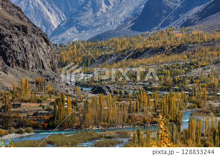 The autumn scenery with Hindu Kush mountain range in the background is very beautiful, Gahkuch,northern Pakistan. The autumn scenery with Hindu Kush mountain range in the background is very beautiful, Gahkuch,northern Pakistan. 128833244