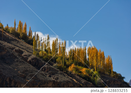 The autumn scenery with Hindu Kush mountain range in the background is very beautiful, Gahkuch,northern Pakistan. 128833255