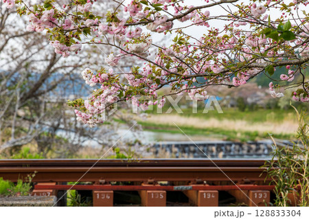 静岡県掛川市幡鎌　天竜浜名湖鉄道と沿線の風景 128833304