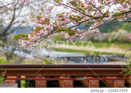 静岡県掛川市幡鎌 天竜浜名湖鉄道と沿線の風景 静岡県掛川市幡鎌 天竜浜名湖鉄道と沿線の風景 128833305
