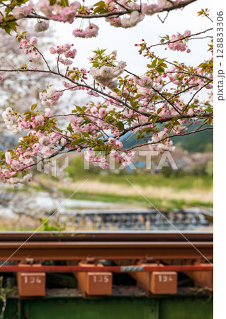 静岡県掛川市幡鎌　天竜浜名湖鉄道と沿線の風景 128833306