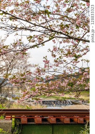 静岡県掛川市幡鎌 天竜浜名湖鉄道と沿線の風景 静岡県掛川市幡鎌 天竜浜名湖鉄道と沿線の風景 128833323