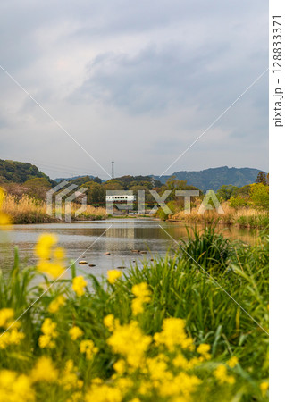 静岡県掛川市幡鎌 天竜浜名湖鉄道と沿線の風景 静岡県掛川市幡鎌 天竜浜名湖鉄道と沿線の風景 128833371